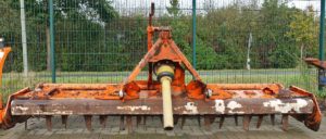 Maschio